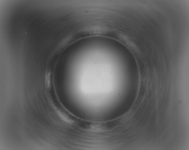 X0000083010070200702091301