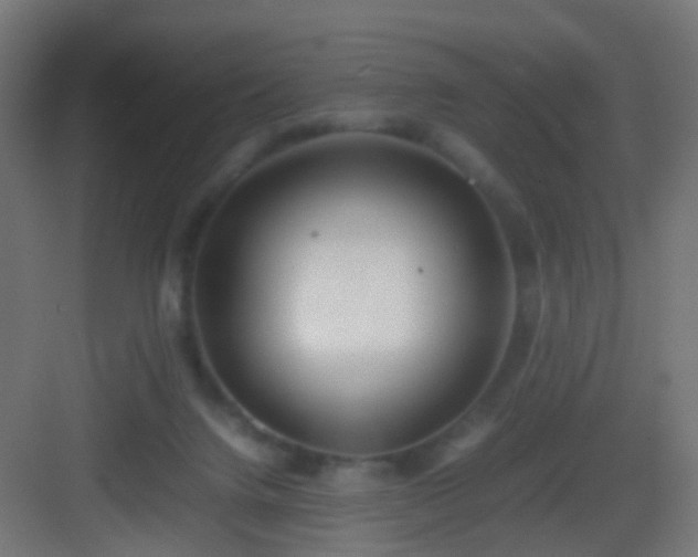 X0000083010072200702091301