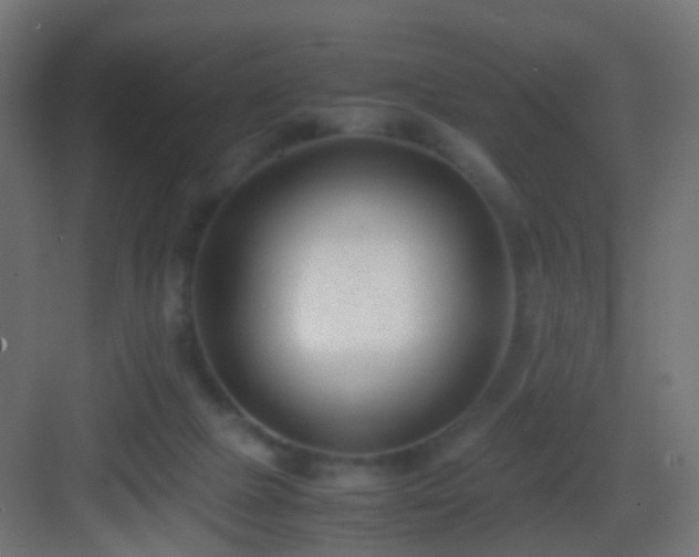 X0000083010073200702091301