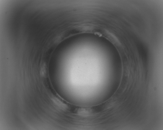 X0000083010077200702091301