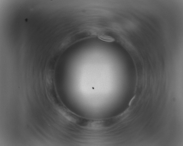 X0000083010078200702091301