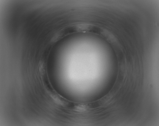 X0000083010079200702091301