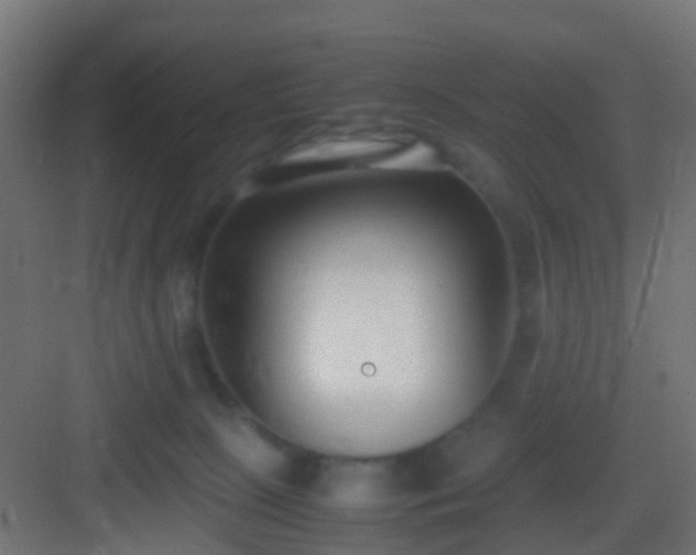 X0000083010081200702091301