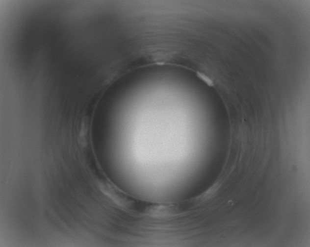 X0000083010082200702091301