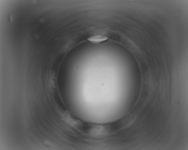 X0000083010083200702091302