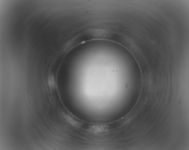 X0000083010089200702091302