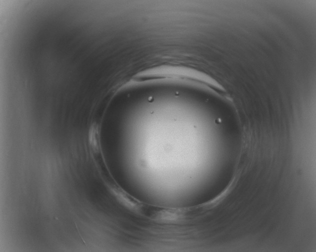 X0000083010094200702091302