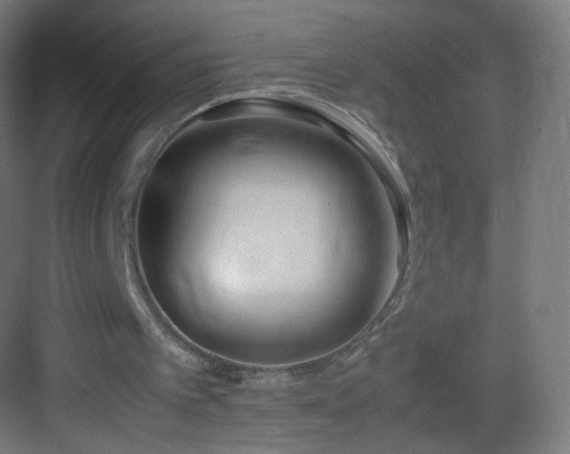 X0000083010097200702091301