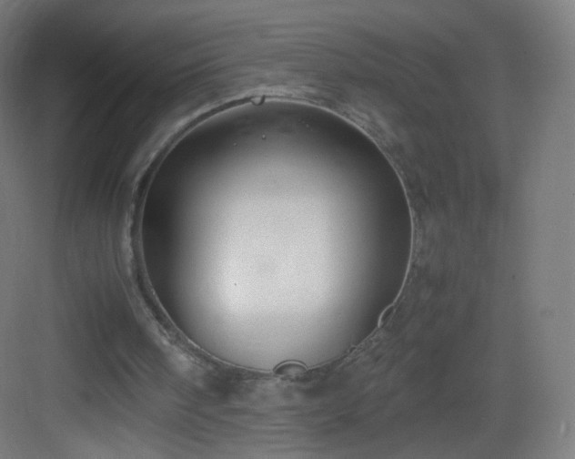 X0000083010098200702091301