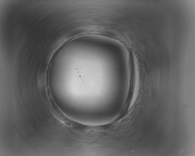 X0000083010099200702091301