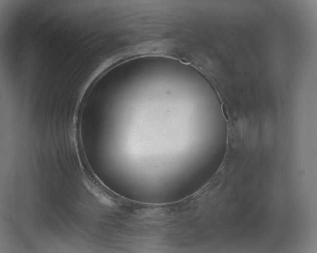 X0000083010100200702091301