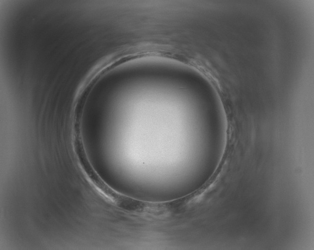 X0000083010101200702091301