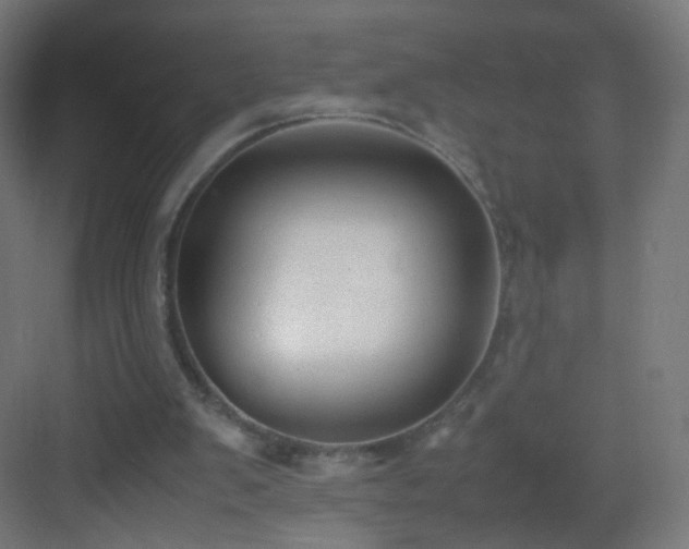 X0000083010103200702091301