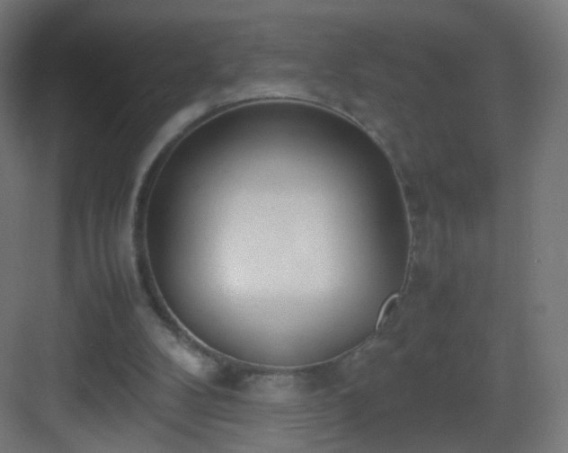 X0000083010104200702091301