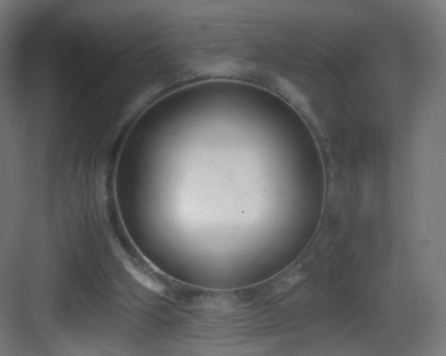 X0000083010106200702091301