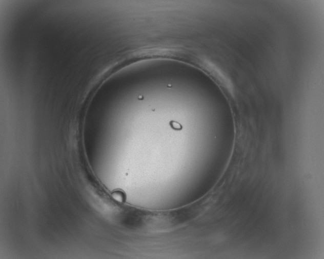 X0000083010107200702091301