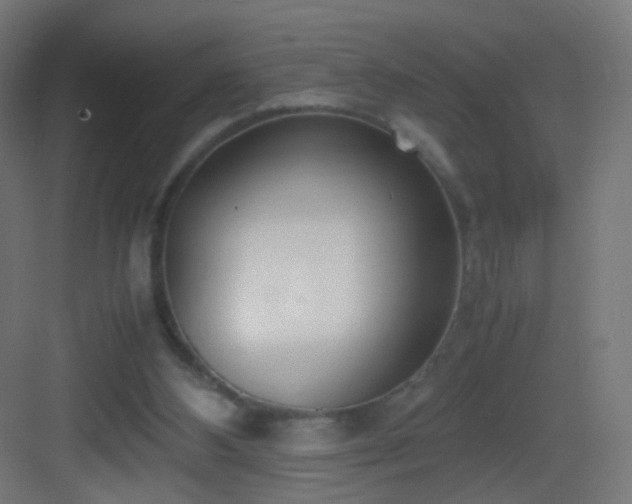 X0000083010108200702091301