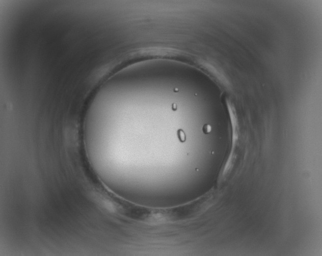 X0000083010111200702091301