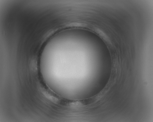 X0000083010112200702091301