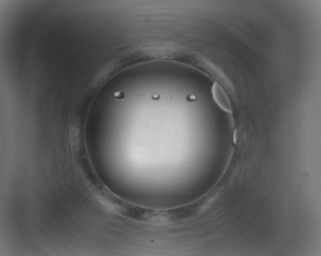 X0000083010113200702091301