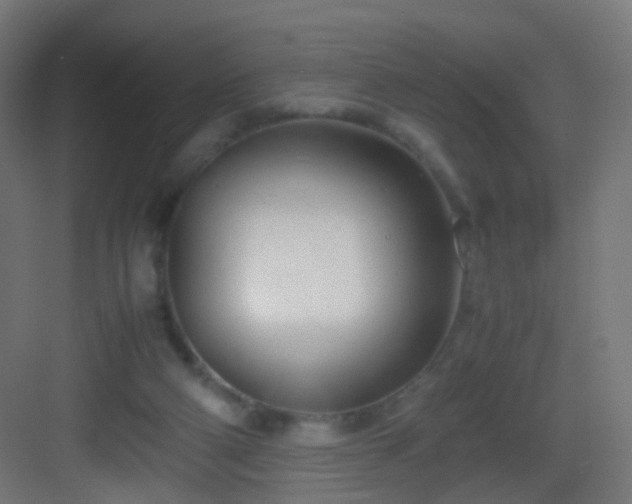 X0000083010114200702091301