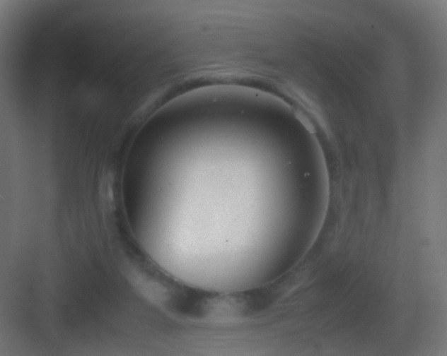 X0000083010115200702091301