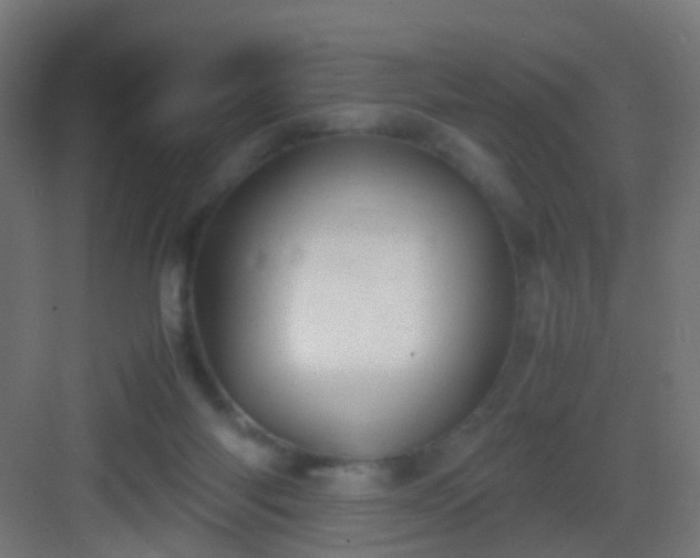 X0000083010118200702091301