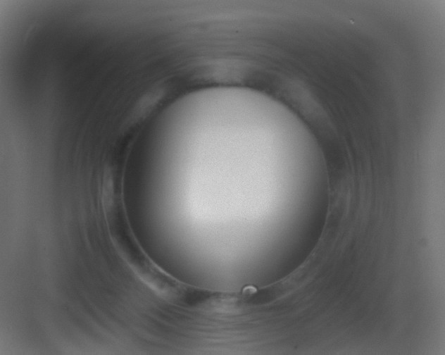 X0000083010120200702091301