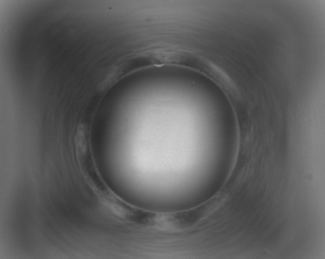 X0000083010121200702091301