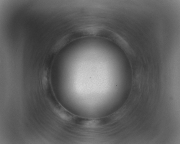 X0000083010122200702091300