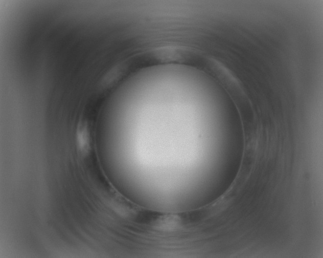 X0000083010124200702091300