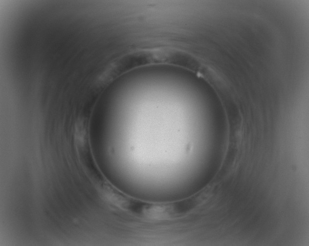 X0000083010129200702091300