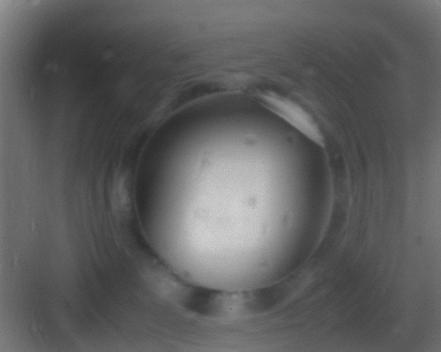 X0000083010131200702091300