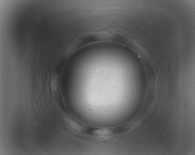 X0000083010133200702091300