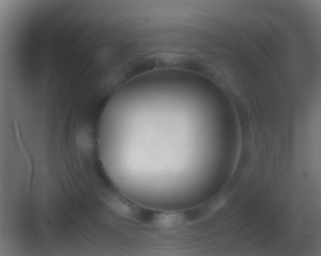 X0000083010135200702091300