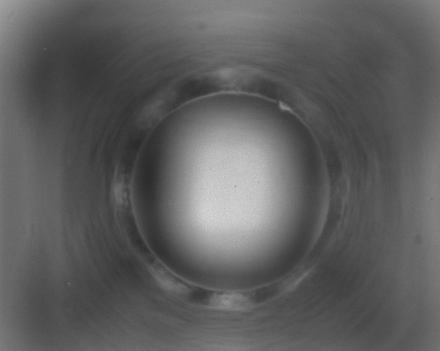 X0000083010137200702091300