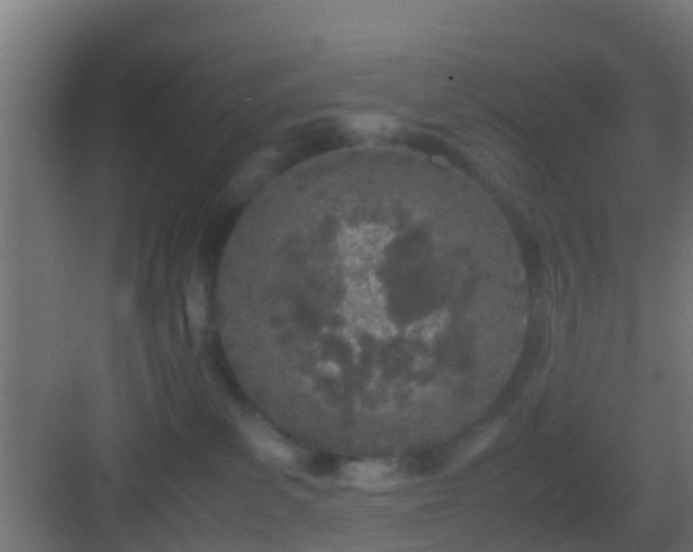 X0000083010139200702091300