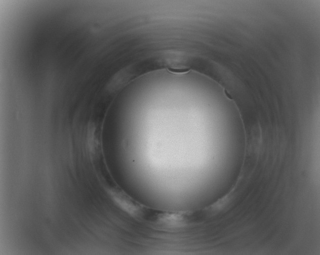 X0000083010140200702091300