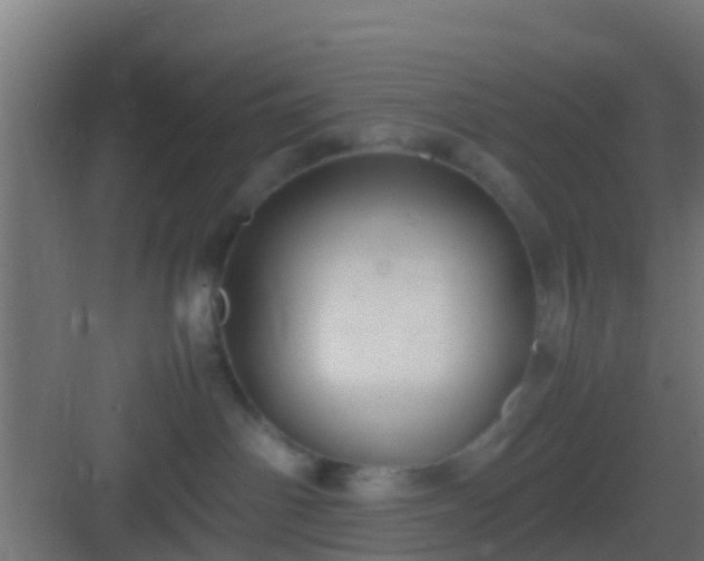 X0000083010142200702091300