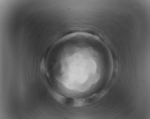 X0000083010143200702091300