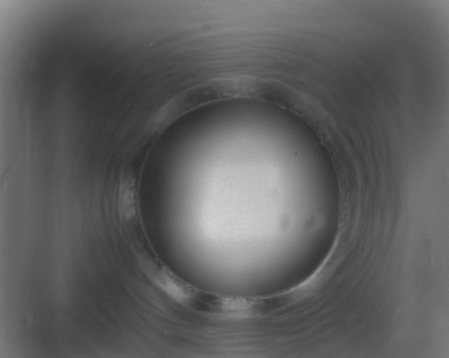 X0000083010144200702091300