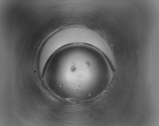 X0000083010146200702091259