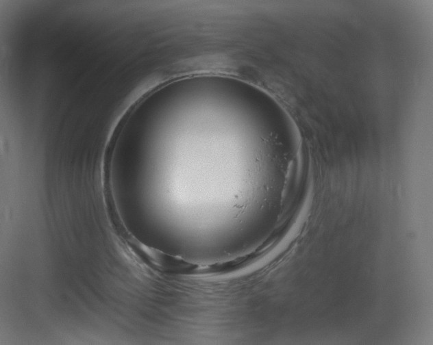 X0000083010148200702091259