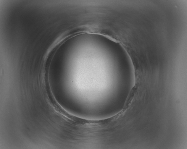 X0000083010150200702091259