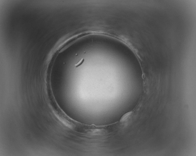 X0000083010151200702091259