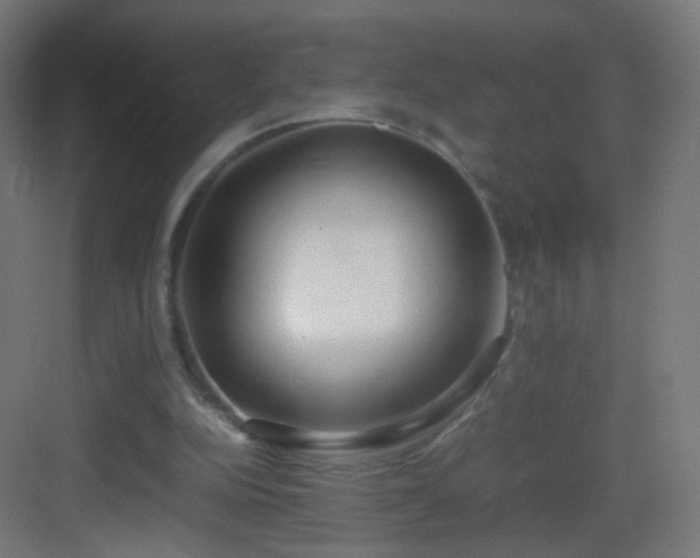 X0000083010152200702091259