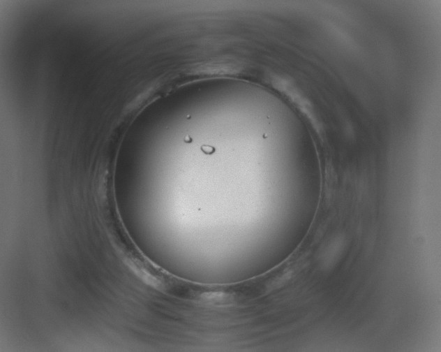 X0000083010153200702091259