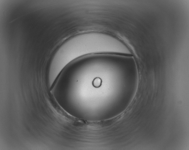 X0000083010154200702091259