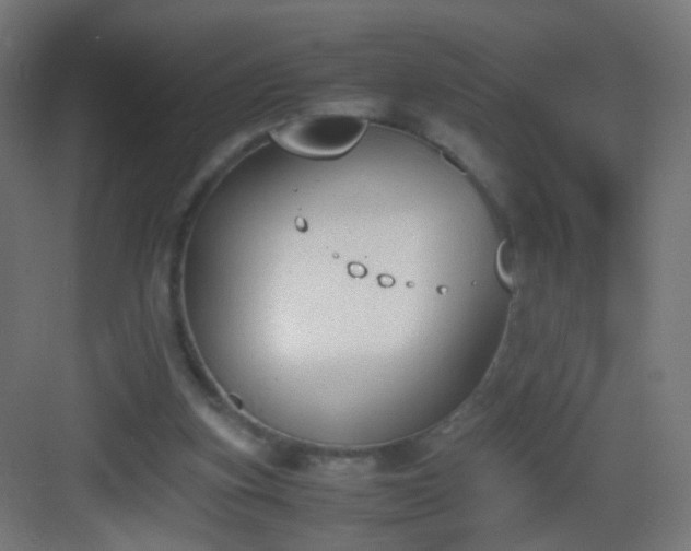 X0000083010155200702091259