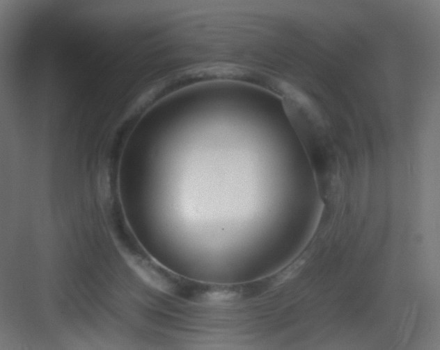 X0000083010158200702091300